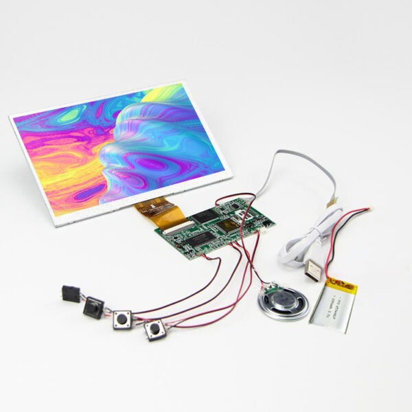10.1 inch video module
